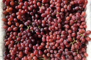 Box of Red Grapes